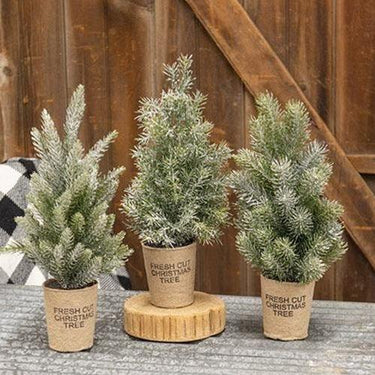 Lg Frosted Tree w Paper Cup 3 Asstd - The Fox Decor